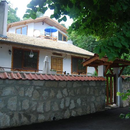 Rooms For Rent - Villa Desi Varna Exterior foto